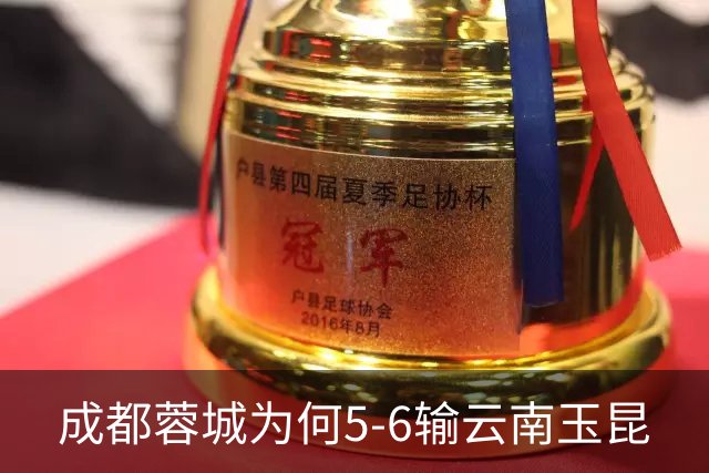 成都蓉城为何5-6输云南玉昆? 赛后韦世豪毫不客气说出原因很无奈