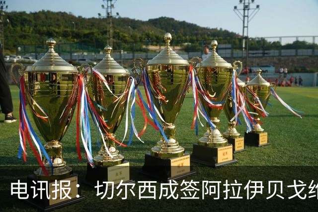 电讯报：切尔西成签阿拉伊贝戈维奇最大热门，球员身价3000万镑