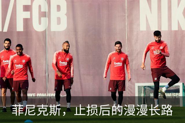 菲尼克斯，止损后的漫漫长路