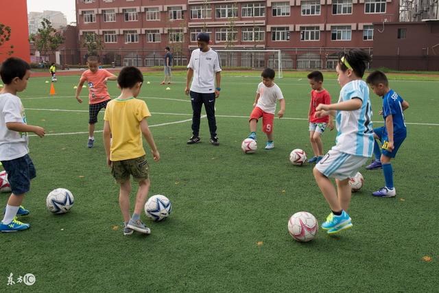2028洛杉矶残奥会：历史性时刻与攀岩首秀引领新篇章